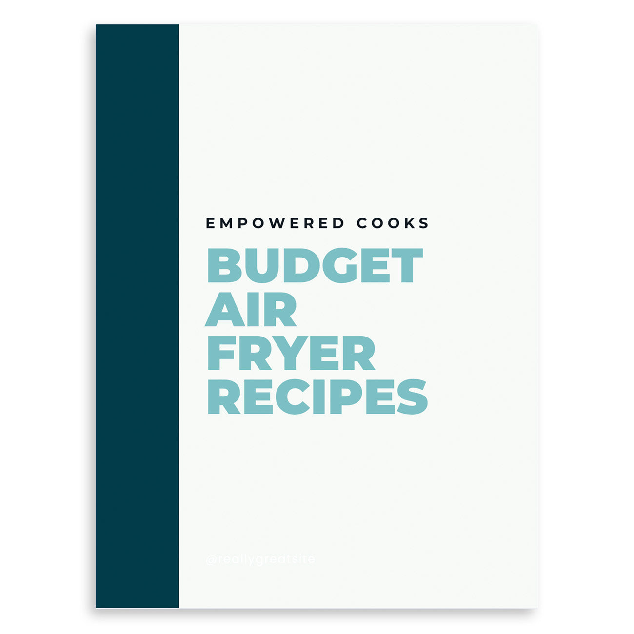 Budget Air Fryer Recipes (FREE Download)
